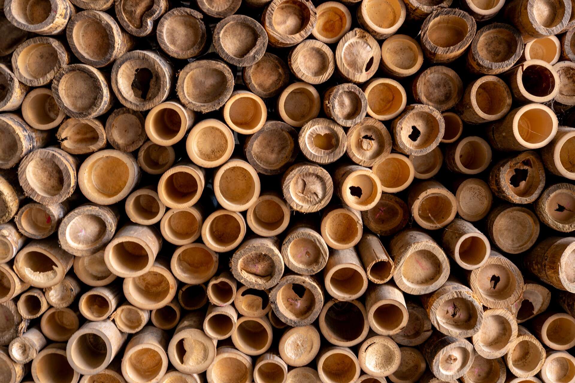 _WHY0923_調整大小