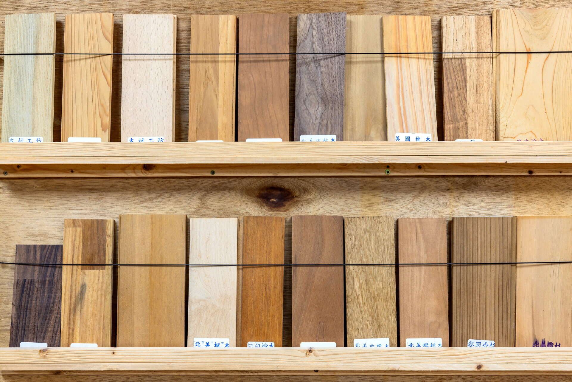 NM226798-DeNoiseAI-standard_調整大小