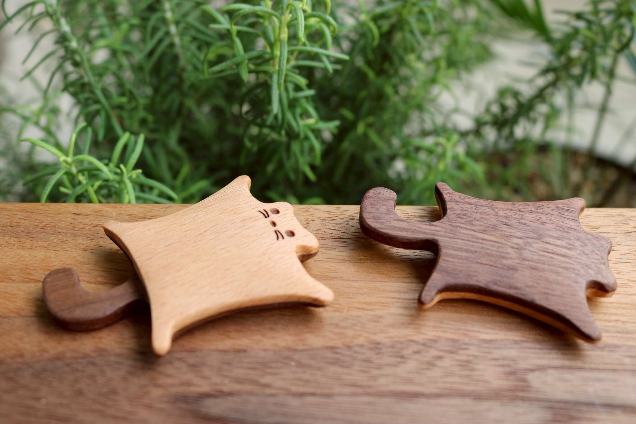 LINE_ALBUM_磁鐵 -魟魚、飛鼠、海龜、鱟_250710_2