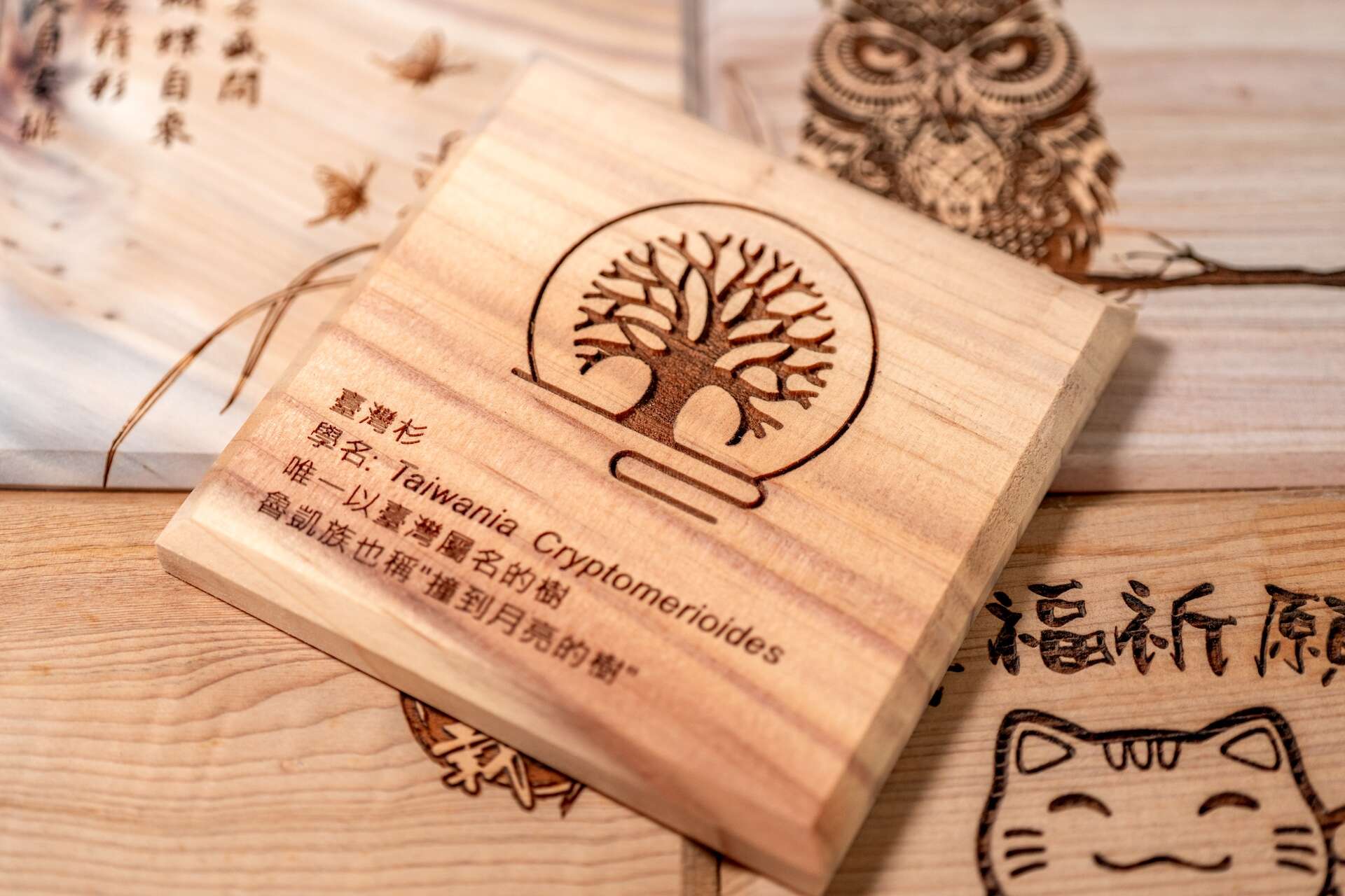 _WHY0997_調整大小