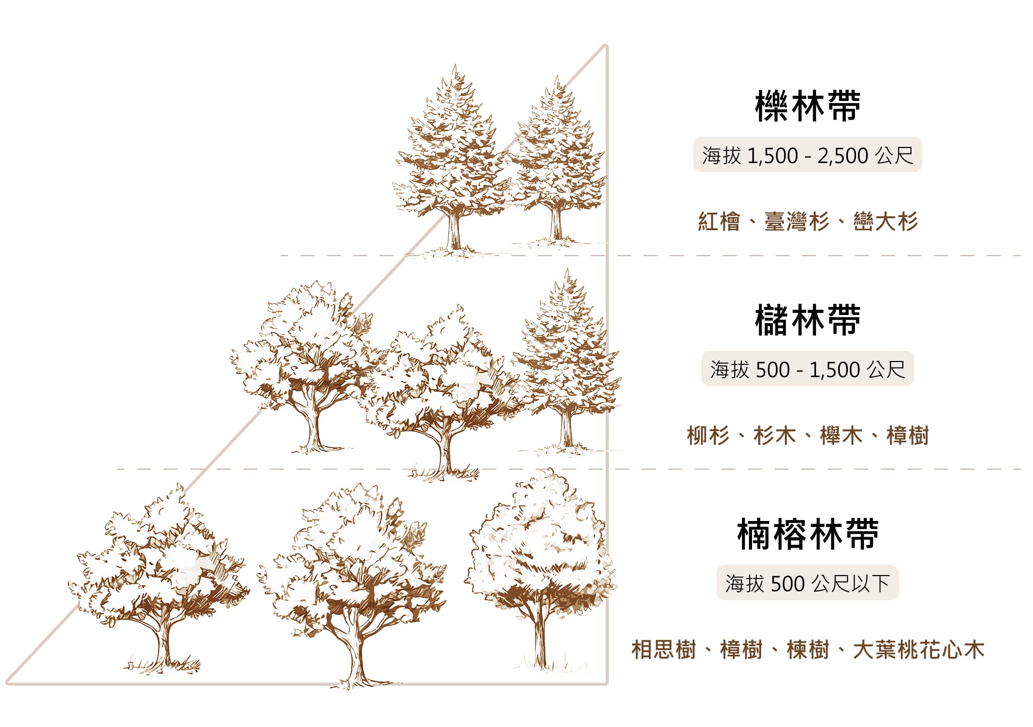 10種國產材樹種海拔分布